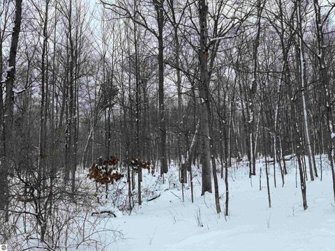 Tiny photo for 3852 S East Torch Lake Drive, Bellaire, MI 49615 (MLS # 1941940)