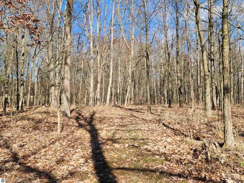 Tiny photo for 7495 E McBrides Road, Edmore, MI 48829 (MLS # 1943086)