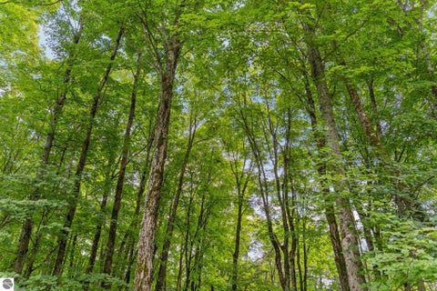 Tiny photo for 5610 Woodland Court, Bellaire, MI 49615 (MLS # 1950383)