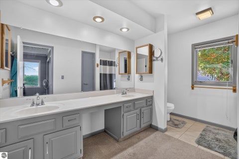 Tiny photo for 248 Oakwood Court, Ionia, MI 48846 (MLS # 1952143)