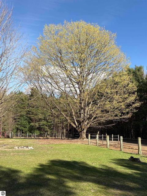Tiny photo for 4911 Red Pine Trail, Empire, MI 49630 (MLS # 1945355)