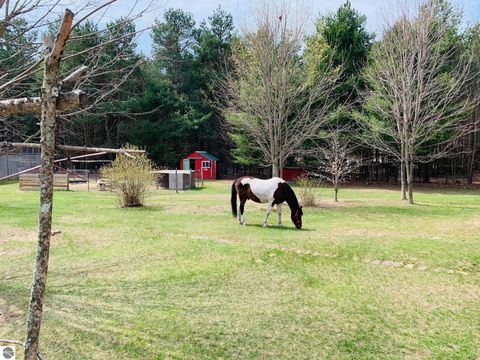 Tiny photo for 4911 Red Pine Trail, Empire, MI 49630 (MLS # 1945355)