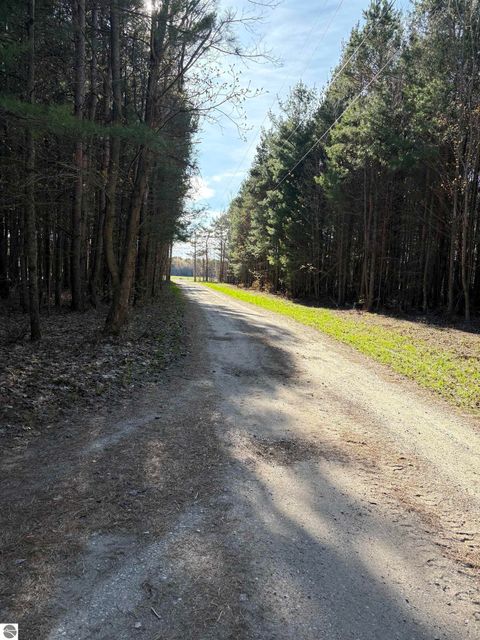 Tiny photo for 4911 Red Pine Trail, Empire, MI 49630 (MLS # 1945355)
