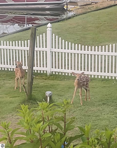 Tiny photo for 111 S Dana Trail, Lake City, MI 49651 (MLS # 1943714)