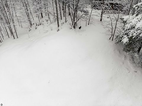 Tiny photo for 4144 S Sugar Loaf Mountain Road, Cedar, MI 49621 (MLS # 1942589)