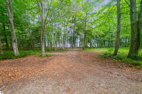 Tiny photo for 8934 Crockett Road, Williamsburg, MI 49690 (MLS # 1947623)