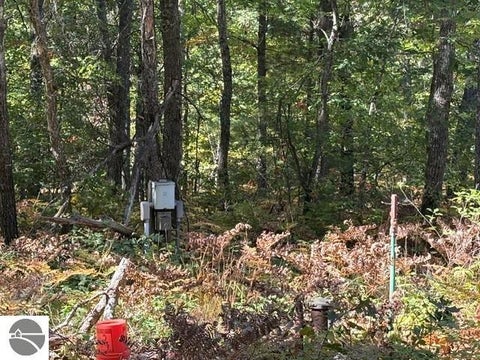 Tiny photo for 11830 US-131 N, Fife Lake, MI 49633 (MLS # 1951141)