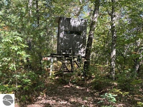 Tiny photo for 11830 US-131 N, Fife Lake, MI 49633 (MLS # 1951141)