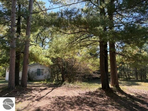 Tiny photo for 11830 US-131 N, Fife Lake, MI 49633 (MLS # 1951141)