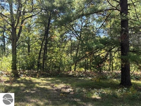 Tiny photo for 11830 US-131 N, Fife Lake, MI 49633 (MLS # 1951141)