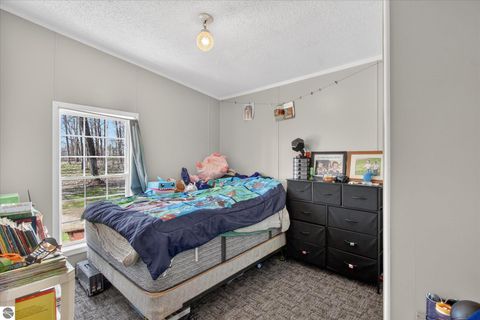 Tiny photo for 4537 N Caris Road, Edmore, MI 48829 (MLS # 1944226)