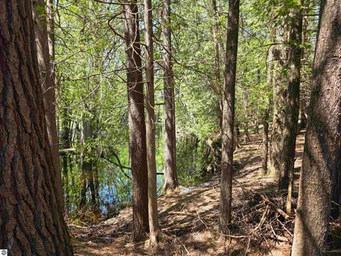 Tiny photo for 12506 E Shore Drive, Millersburg, MI 49759 (MLS # 1942311)