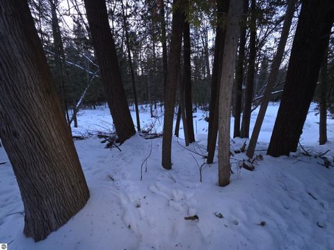 Tiny photo for 12506 E Shore Drive, Millersburg, MI 49759 (MLS # 1942311)