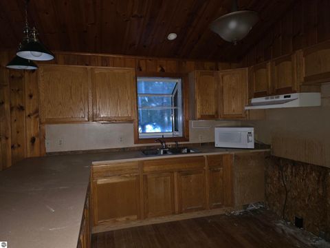 Tiny photo for 12506 E Shore Drive, Millersburg, MI 49759 (MLS # 1942311)