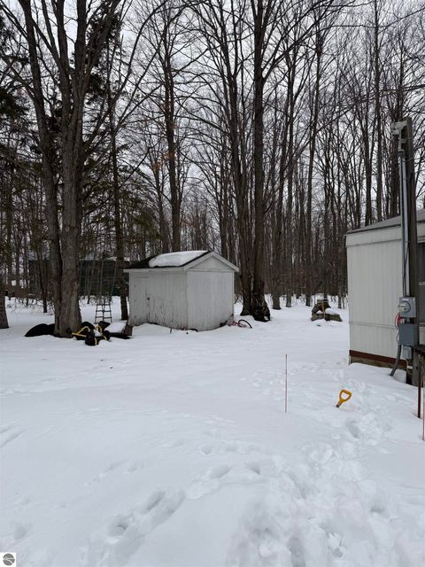 Tiny photo for 10587 Scott Road, Wolverine, MI 49799 (MLS # 1943280)