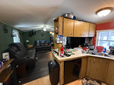 Tiny photo for 10587 Scott Road, Wolverine, MI 49799 (MLS # 1943280)