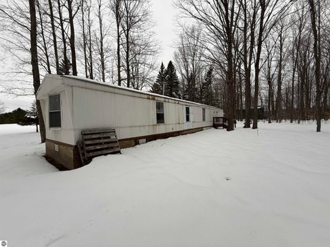Tiny photo for 10587 Scott Road, Wolverine, MI 49799 (MLS # 1943280)