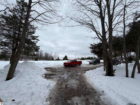 Tiny photo for 10587 Scott Road, Wolverine, MI 49799 (MLS # 1943280)