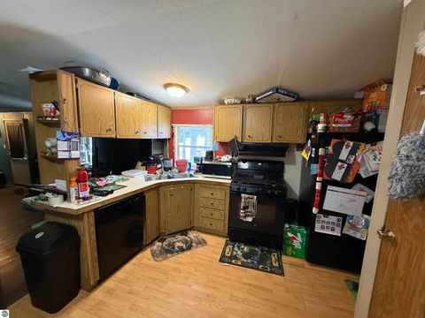 Tiny photo for 10587 Scott Road, Wolverine, MI 49799 (MLS # 1943280)