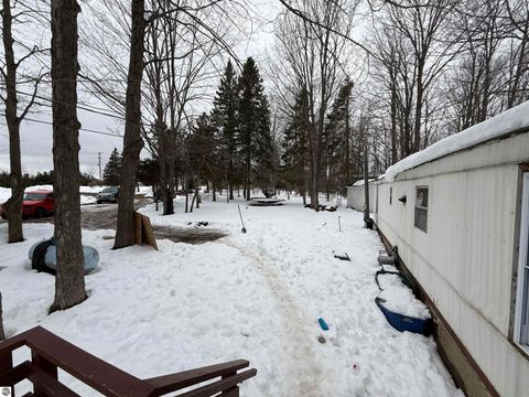 Tiny photo for 10587 Scott Road, Wolverine, MI 49799 (MLS # 1943280)