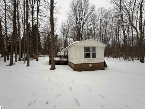 Tiny photo for 10587 Scott Road, Wolverine, MI 49799 (MLS # 1943280)