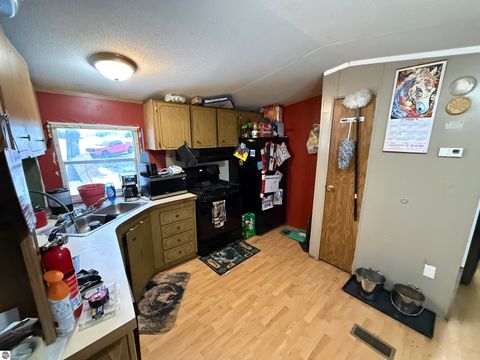 Tiny photo for 10587 Scott Road, Wolverine, MI 49799 (MLS # 1943280)