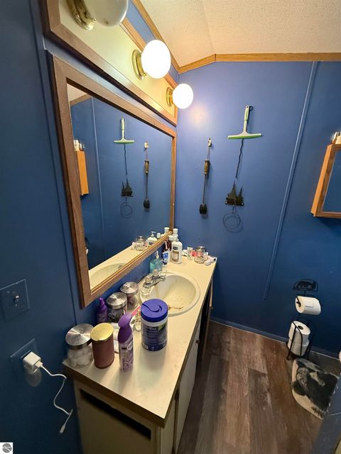 Tiny photo for 10587 Scott Road, Wolverine, MI 49799 (MLS # 1943280)