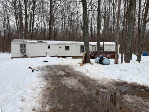 Tiny photo for 10587 Scott Road, Wolverine, MI 49799 (MLS # 1943280)