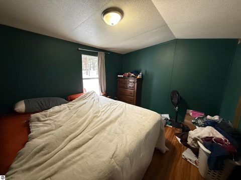 Tiny photo for 10587 Scott Road, Wolverine, MI 49799 (MLS # 1943280)