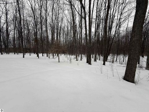 Tiny photo for 10587 Scott Road, Wolverine, MI 49799 (MLS # 1943280)