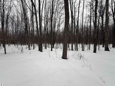 Tiny photo for 10587 Scott Road, Wolverine, MI 49799 (MLS # 1943280)