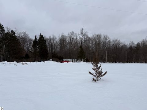 Tiny photo for 10587 Scott Road, Wolverine, MI 49799 (MLS # 1943280)