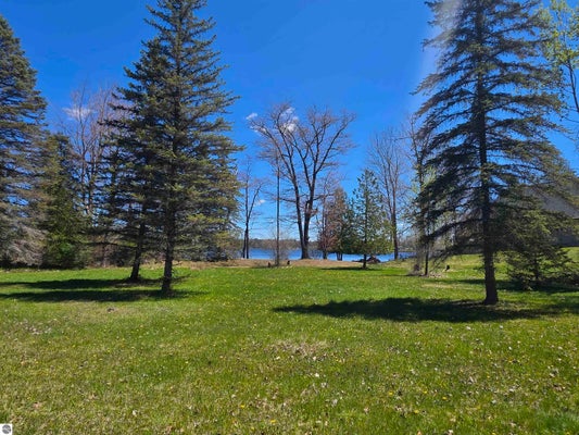 BLISS DR, HALE, MI 48739 - Image 6dfb591ccb806a4f347d08333963e0e4/1925680121