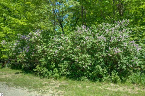 Tiny photo for 8134 NW Ruttan Road, Alden, MI 49612 (MLS # 1947927)