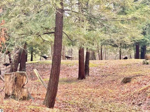 Tiny photo for 5233 Bunker Hill Road, Williamsburg, MI 49690 (MLS # 1943120)