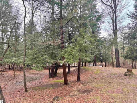 Tiny photo for 5233 Bunker Hill Road, Williamsburg, MI 49690 (MLS # 1943120)