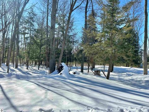 Tiny photo for 5233 Bunker Hill Road, Williamsburg, MI 49690 (MLS # 1943120)