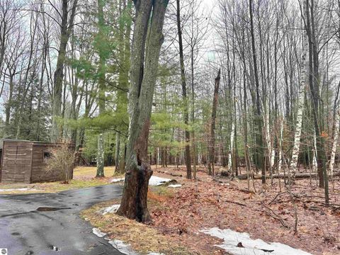 Tiny photo for 5233 Bunker Hill Road, Williamsburg, MI 49690 (MLS # 1943120)