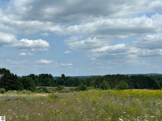 ADDRESS PRIVATE, WILLIAMSBURG, MI 49690 - Image 703bd2de5023a9e715ae6ff03aa2be4f/2277485255