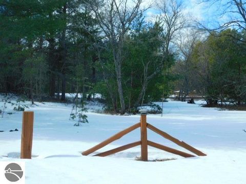 Tiny photo for 9607 Caddis Lane, Fife Lake, MI 49633 (MLS # 1943300)