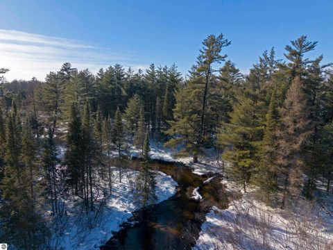 Tiny photo for 9607 Caddis Lane, Fife Lake, MI 49633 (MLS # 1943300)