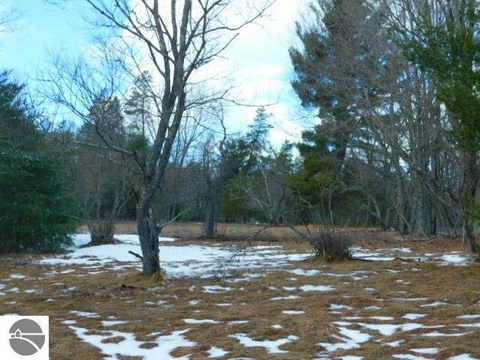 Tiny photo for 9607 Caddis Lane, Fife Lake, MI 49633 (MLS # 1943300)