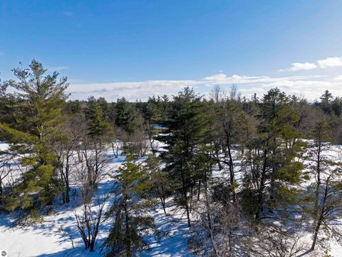 Tiny photo for 9607 Caddis Lane, Fife Lake, MI 49633 (MLS # 1943300)