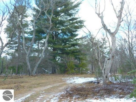 Tiny photo for 9607 Caddis Lane, Fife Lake, MI 49633 (MLS # 1943300)