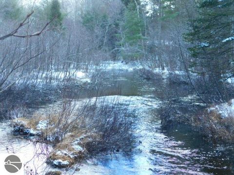Tiny photo for 9607 Caddis Lane, Fife Lake, MI 49633 (MLS # 1943300)