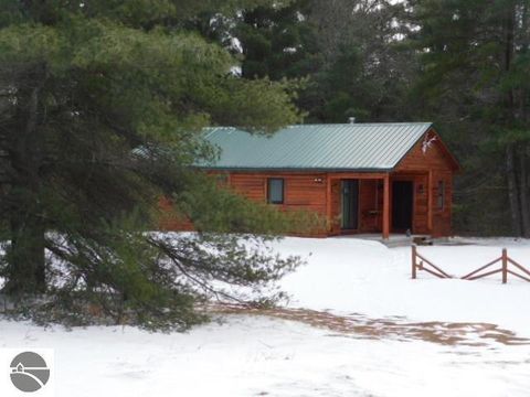Tiny photo for 9607 Caddis Lane, Fife Lake, MI 49633 (MLS # 1943300)