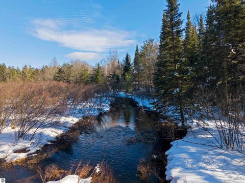 Tiny photo for 9607 Caddis Lane, Fife Lake, MI 49633 (MLS # 1943300)