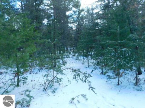 Tiny photo for 9607 Caddis Lane, Fife Lake, MI 49633 (MLS # 1943300)