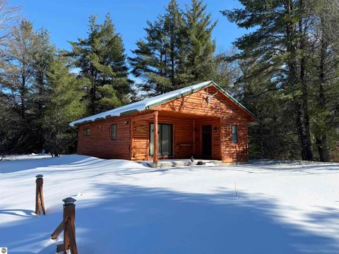 Tiny photo for 9607 Caddis Lane, Fife Lake, MI 49633 (MLS # 1943300)