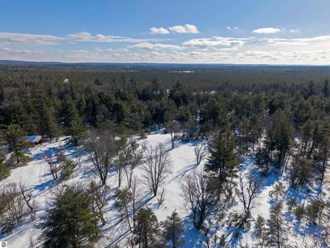 Tiny photo for 9607 Caddis Lane, Fife Lake, MI 49633 (MLS # 1943300)